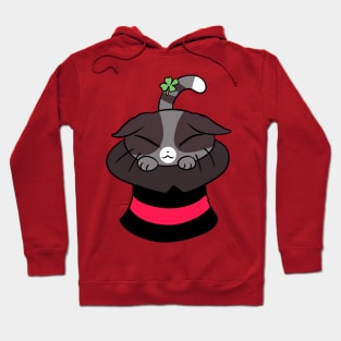 Magic Hat Cat Hoodie